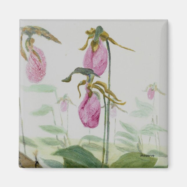 Imã Lady Slippers Magnet (Frente)