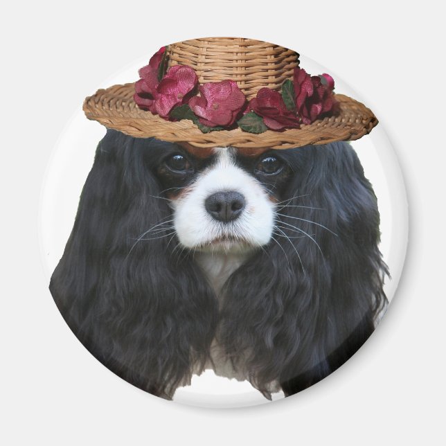 Imã Lady Tansy (Frente)