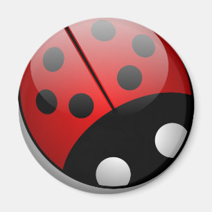 Imã Ladybug