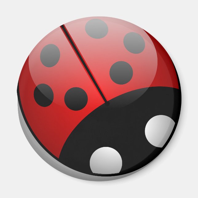 Imã Ladybug (Frente)