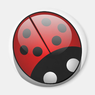 Imã Ladybug