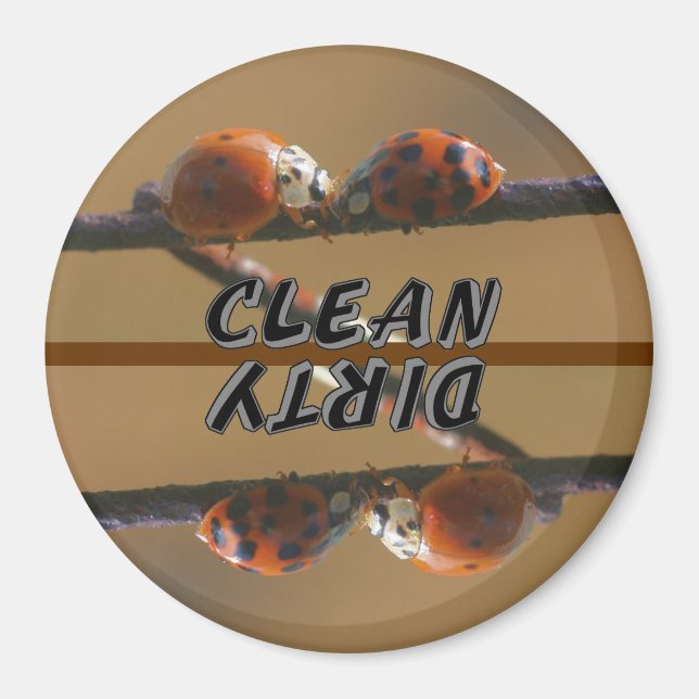 Imã Ladybug Amigos da máquina de lavar loiça (Frente)