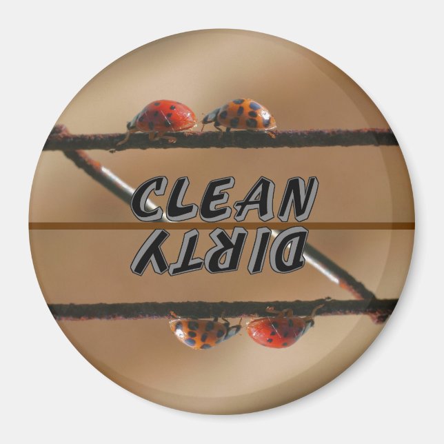 Imã Ladybug Buddies (Frente)