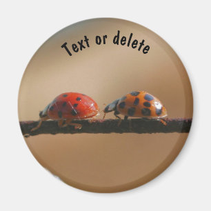 Imã Ladybug Buddies Nature Personalizado