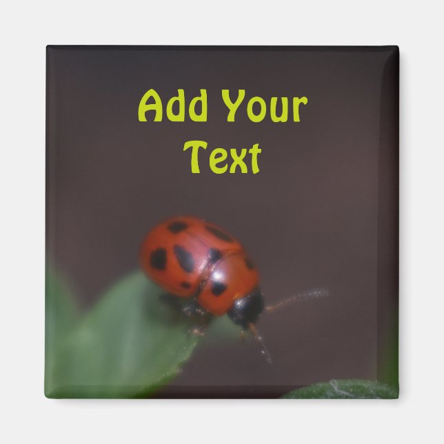 Imã Ladybug em Flores (Frente)