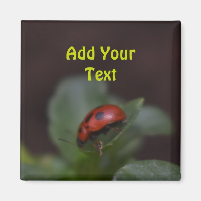 Imã Ladybug em Flores (Frente)