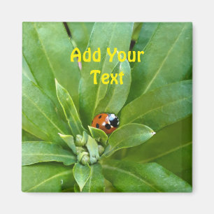 Imã Ladybug em Flores