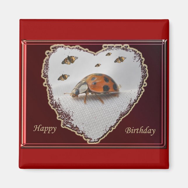 Imã Ladybug Happy Birthday Magnet (Frente)