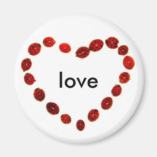 Imã Ladybug Heart Love Magnet