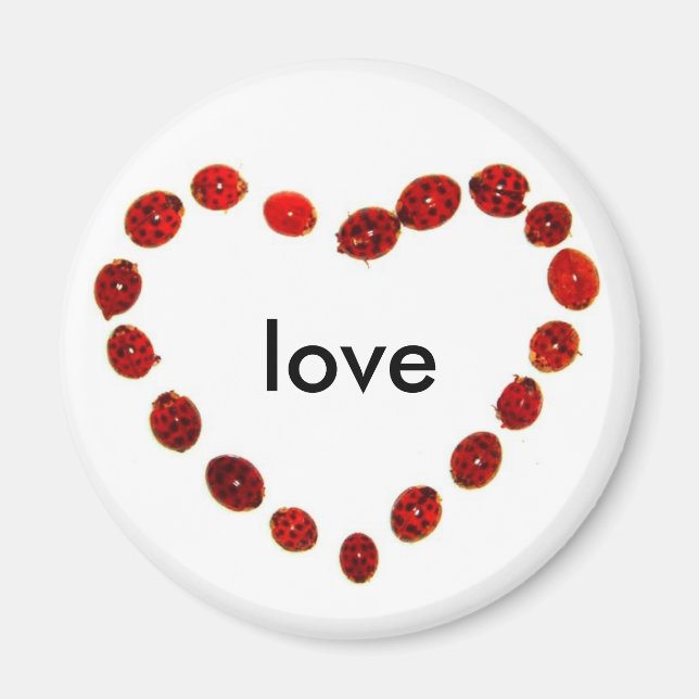Imã Ladybug Heart Love Magnet (Frente)