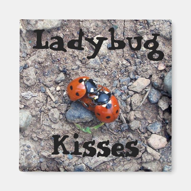 Imã Ladybug Kisses (Frente)