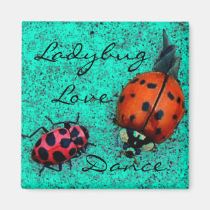IMÃ LADYBUG LOVE DANCE MAGNET