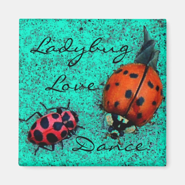 IMÃ LADYBUG LOVE DANCE MAGNET (Frente)