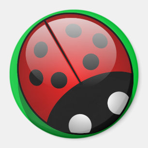 Imã Ladybug Magnet