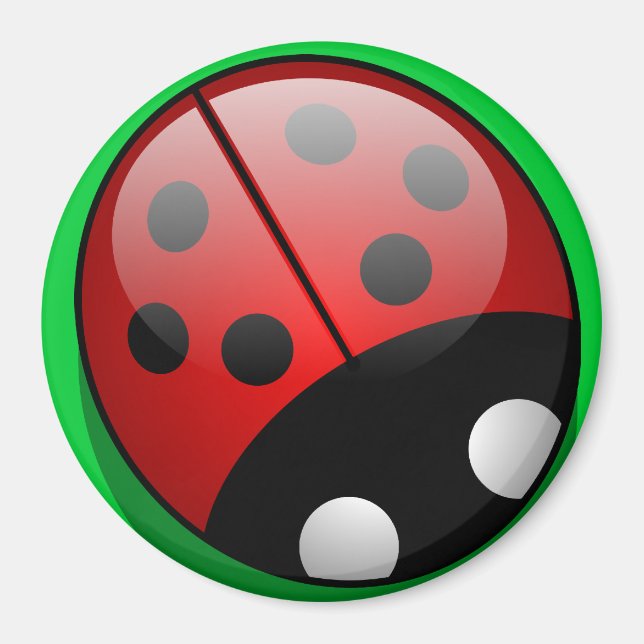 Imã Ladybug Magnet (Frente)