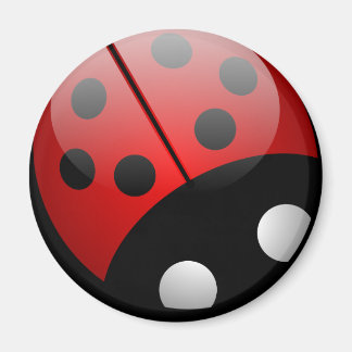 Imã Ladybug Magnet