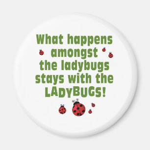 Imã Ladybugs