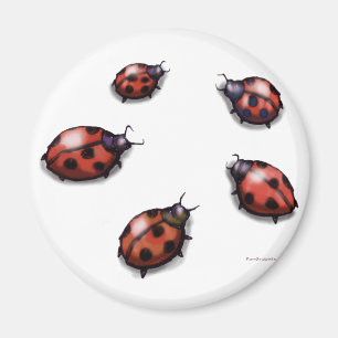 Imã Ladybugs