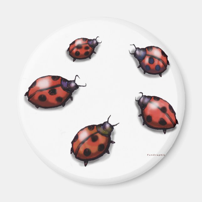 Imã Ladybugs (Frente)