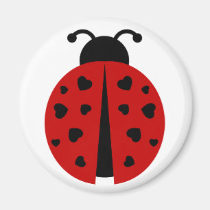 Imã ladybugz.
