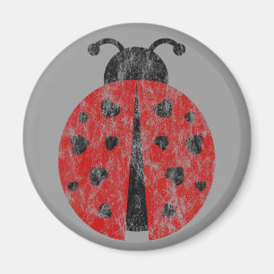 Imã ladybugz.