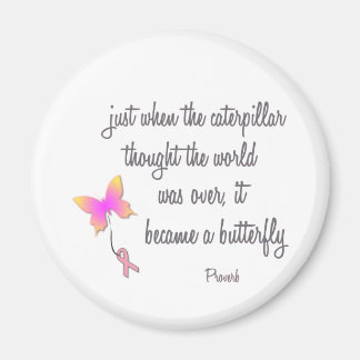 Imã Lagarta se tornou borboleta