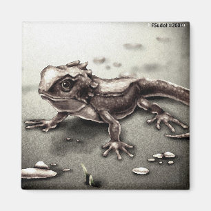 Imã Lagarto ANIML0017