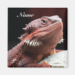 Imã Lagarto Dragão Barbudo Vermelho Adulto Personaliza