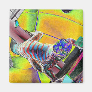 Imã Lagarto fluorescente