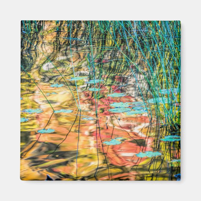 Imã Lago Council em Hiawatha National Forest, Michigan (Frente)