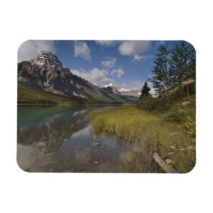 Ímã lago de aves aquáticas ao longo da Icefields parkw
