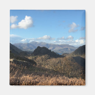 Imã Lago Distrito Magnet