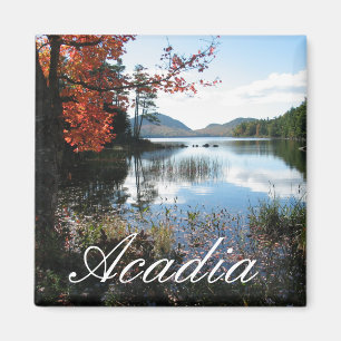 Imã Lago eagle, outono, parque nacional do Acadia,