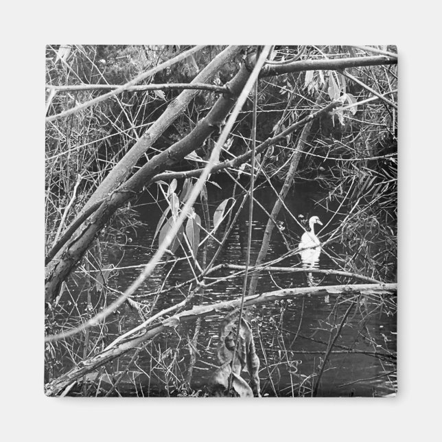 Imã lago george (Frente)