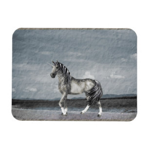 Ímã Lago Guardian Vinyl Magnet