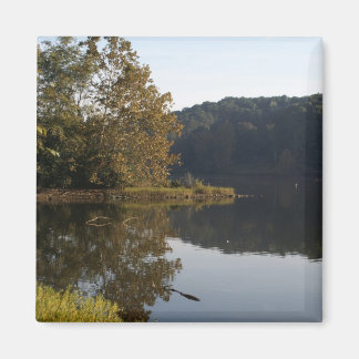 Imã Lago Magnet
