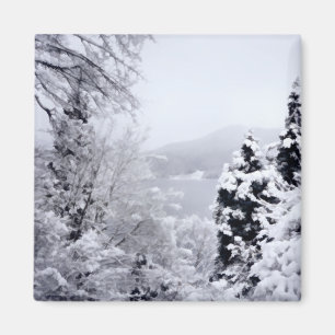 Imã Lago Nojiri Magnet