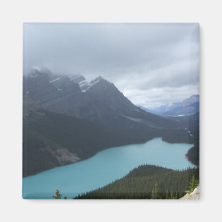 Imã Lago Peyo Magnet