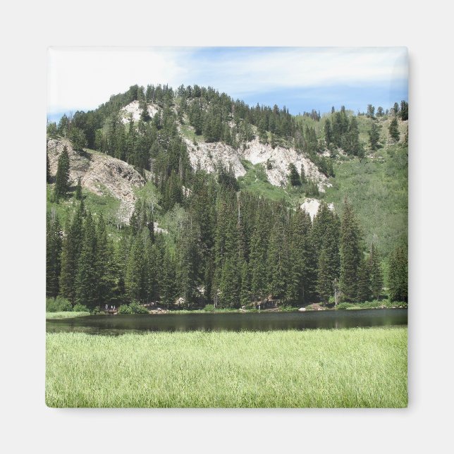 Imã Lago Silver (Frente)