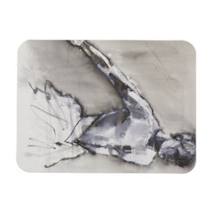 Ímã Lago Swan 2001