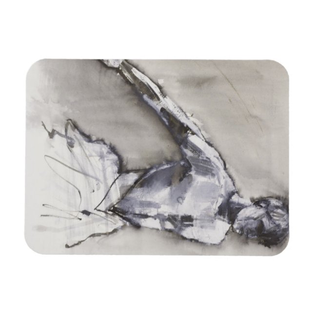 Ímã Lago Swan 2001 (Horizontal)