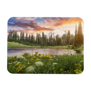 Ímã Lago Tipsoo Mt.Rainier