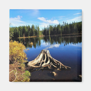 Imã Lago Trillium, OR