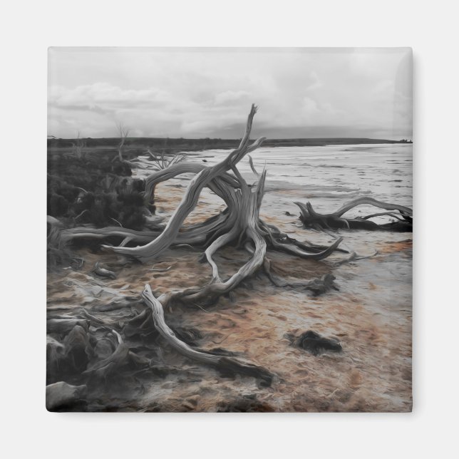 Imã Lago Tyrrell Natural Forces Magnet (Frente)