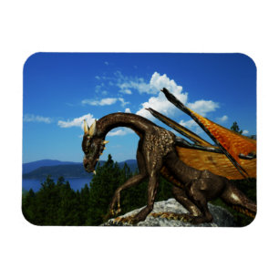 Ímã Lago View Vinyl Magnet
