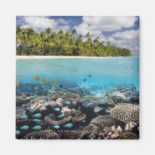 Imã Lagoa tropical no atol sul de Ari