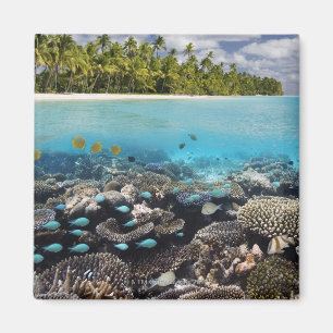 Imã Lagoa tropical no atol sul de Ari no