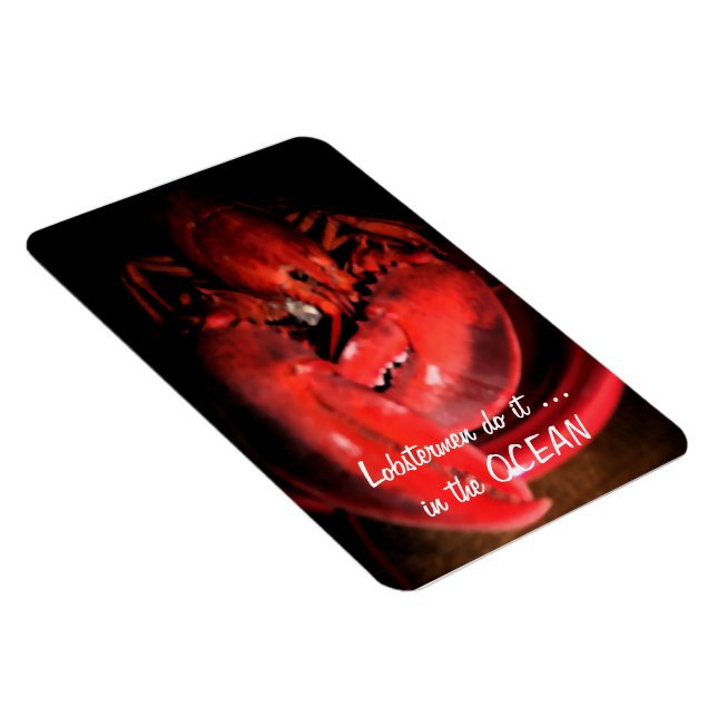 Ímã Lagosta (Lado Direito)