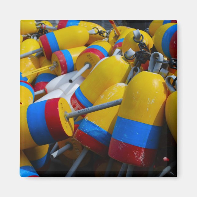 Imã Lagosta Agulha de Refrigerador (Frente)