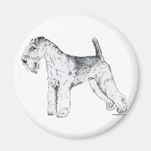 Imã Lakeland Terrier (Frente)